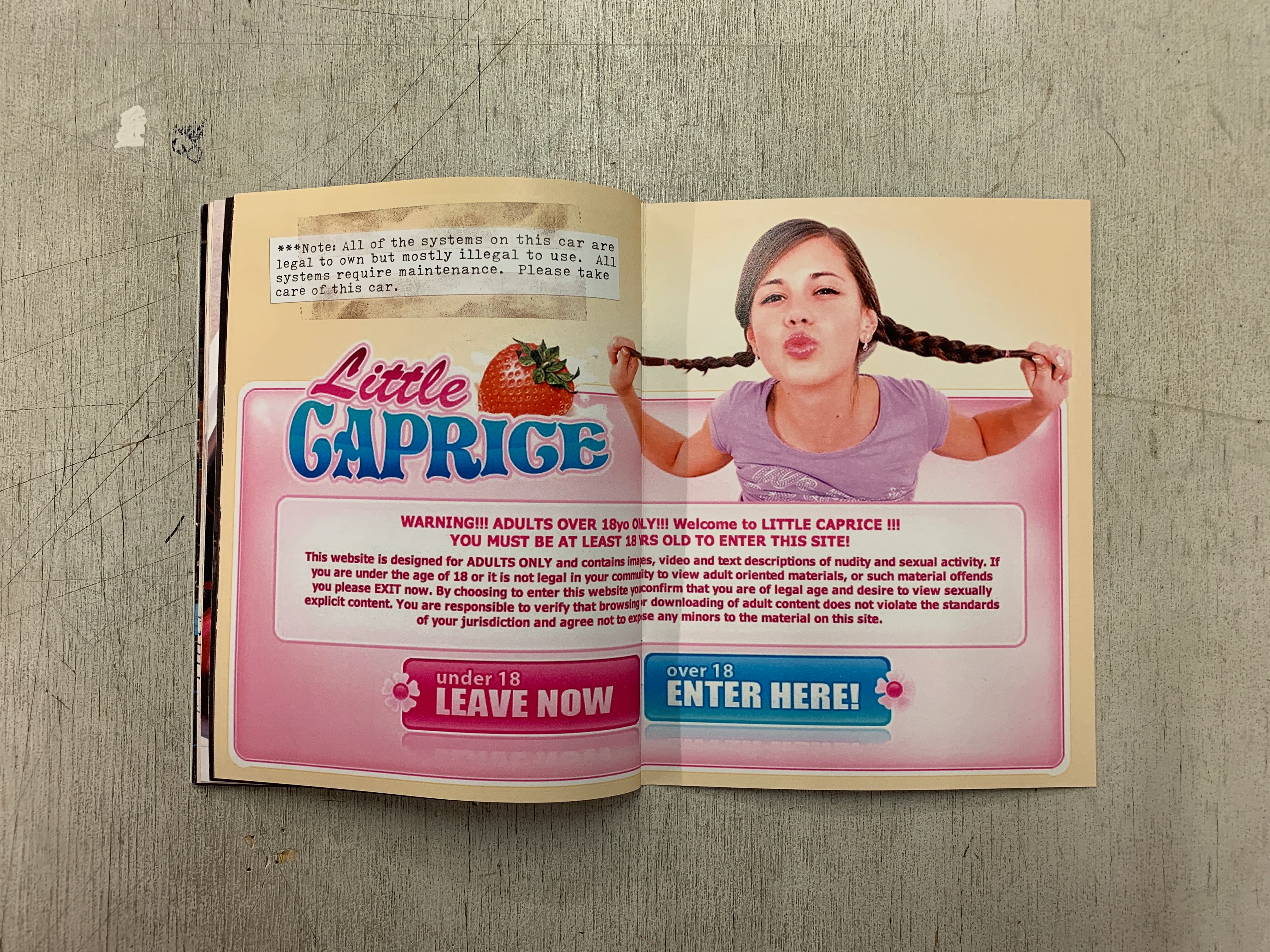 Caprice Owner's Manual (Second Edition) - Image 12