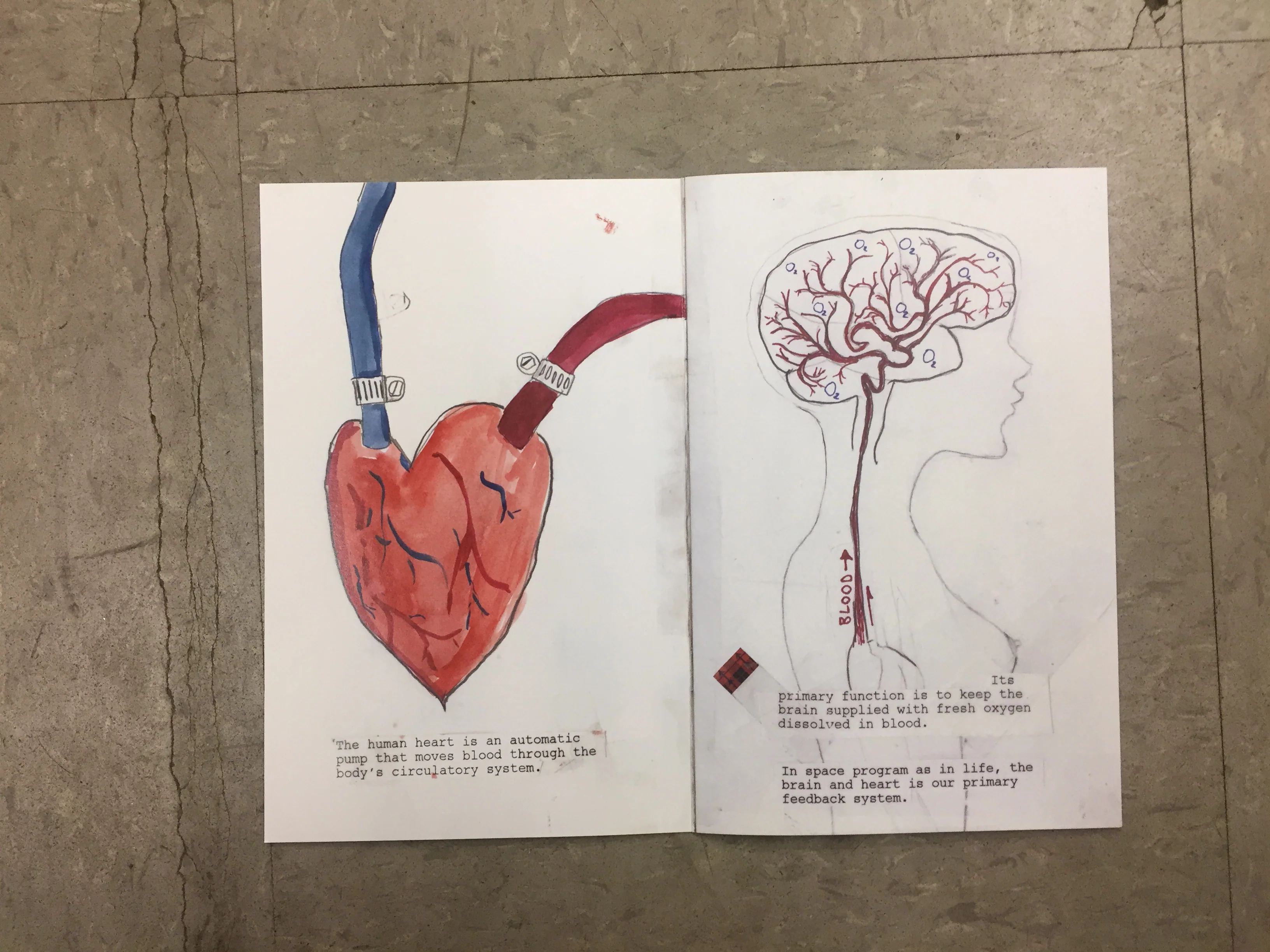 A Space Program DVD (Heart Brain Feedback System) - Image 4